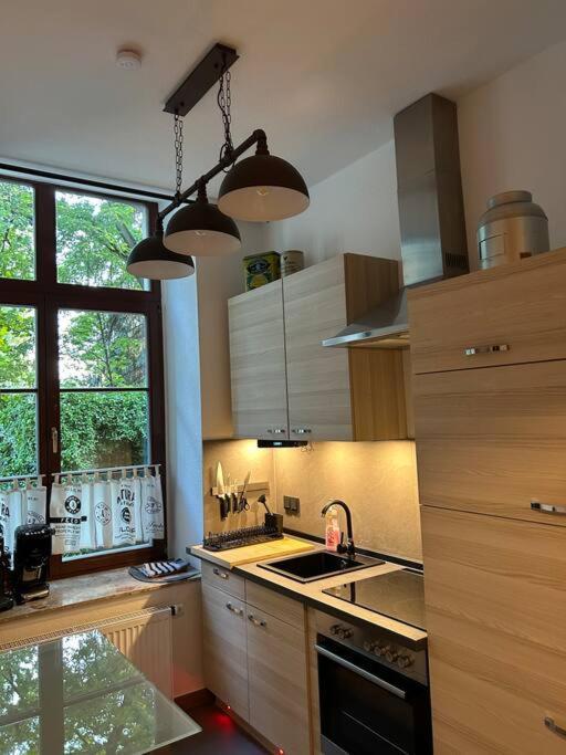Ruhige Wohnung Im Fabrikstil In Chemnitz Dış mekan fotoğraf